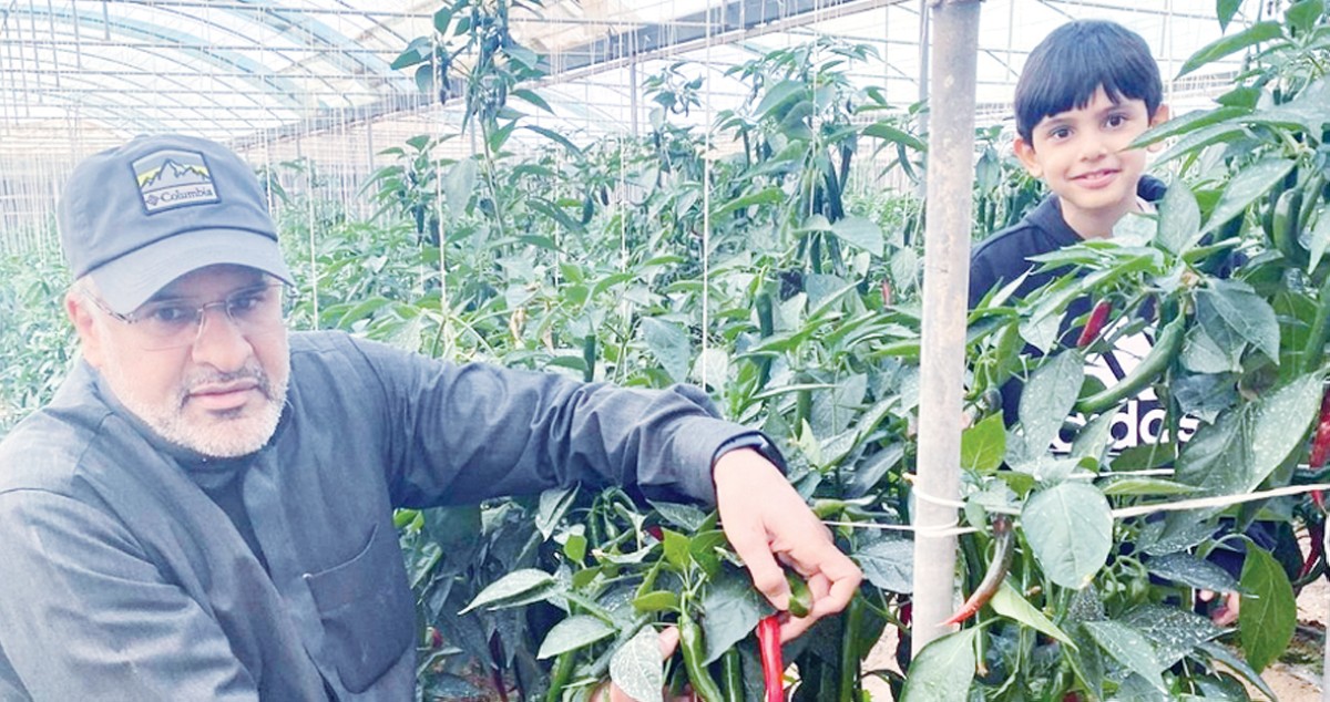 الصفران: 'ركن المزارع' يحقق مصلحة المستهلكين قبل المنتجين