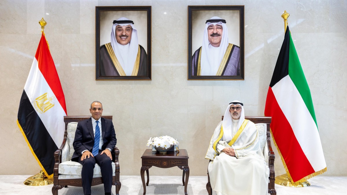 وزير الخارجية بحث ونظيره المصري العلاقات الأخوية وتطورات الأحداث الراهنة