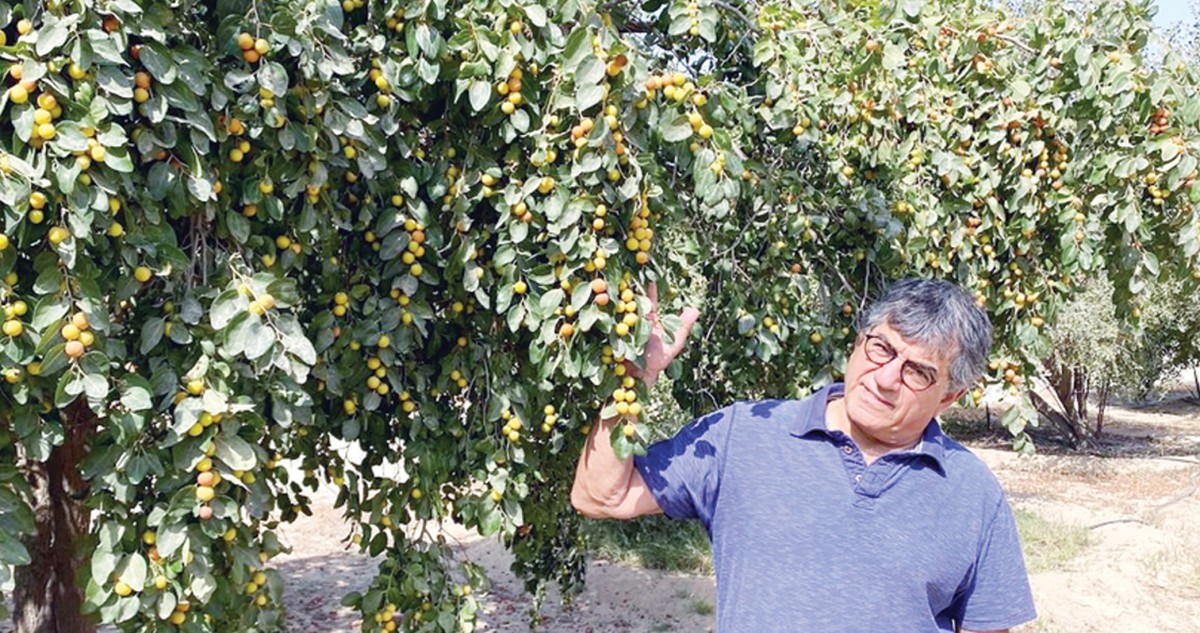 قبازرد: حبّنا للكويت يقتضي الإنتاج في المناطق الزراعية الحدودية 