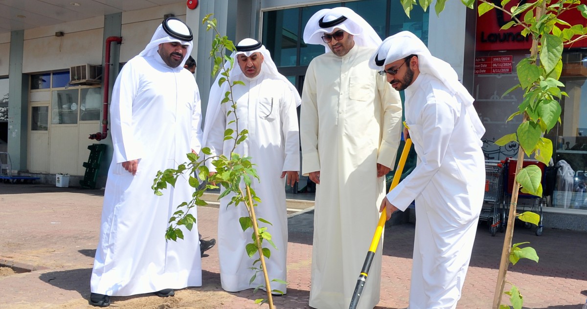 جمعية الروضة وحولي تطلق مبادرة خضراء لاستبدال الأشجار 