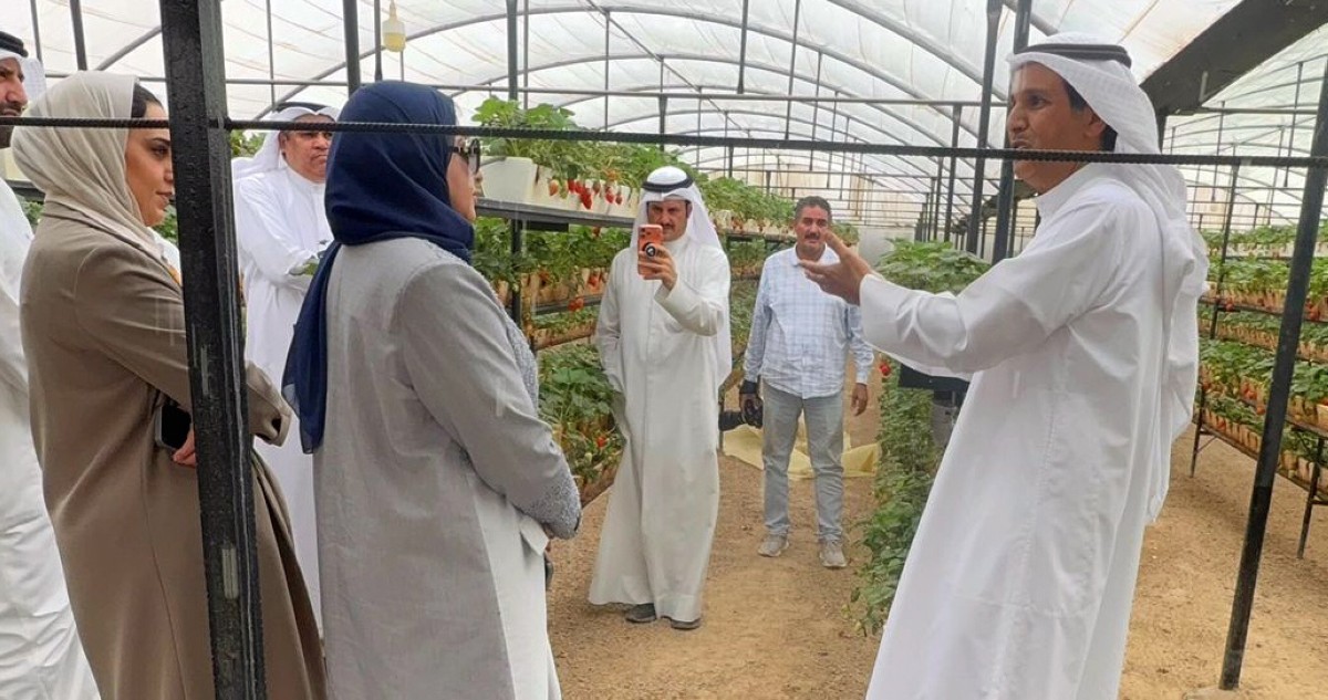 محافظ الأحمدي جال في الوفرة: على المعنيين تلبية حاجات المزارعين