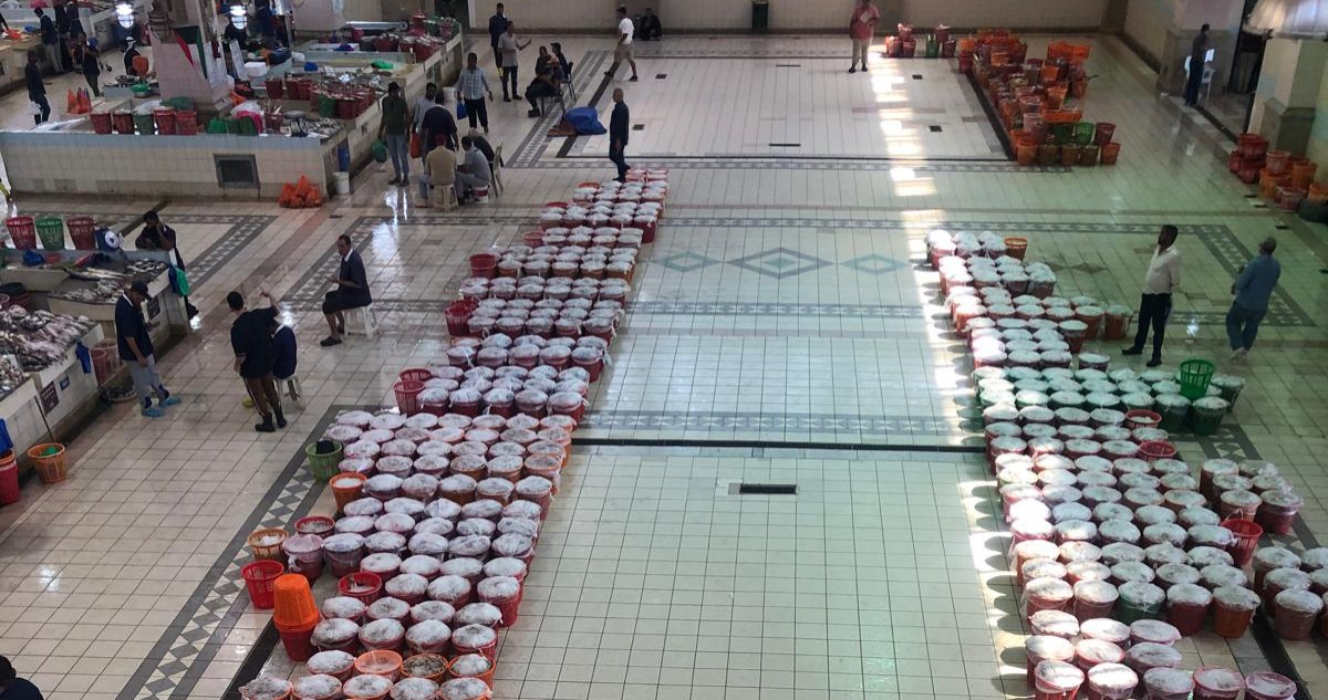 السرهيد ل 039;السياسة039;: استيراد الأسماك من الهند وبنغلاديش وسريلانكا 