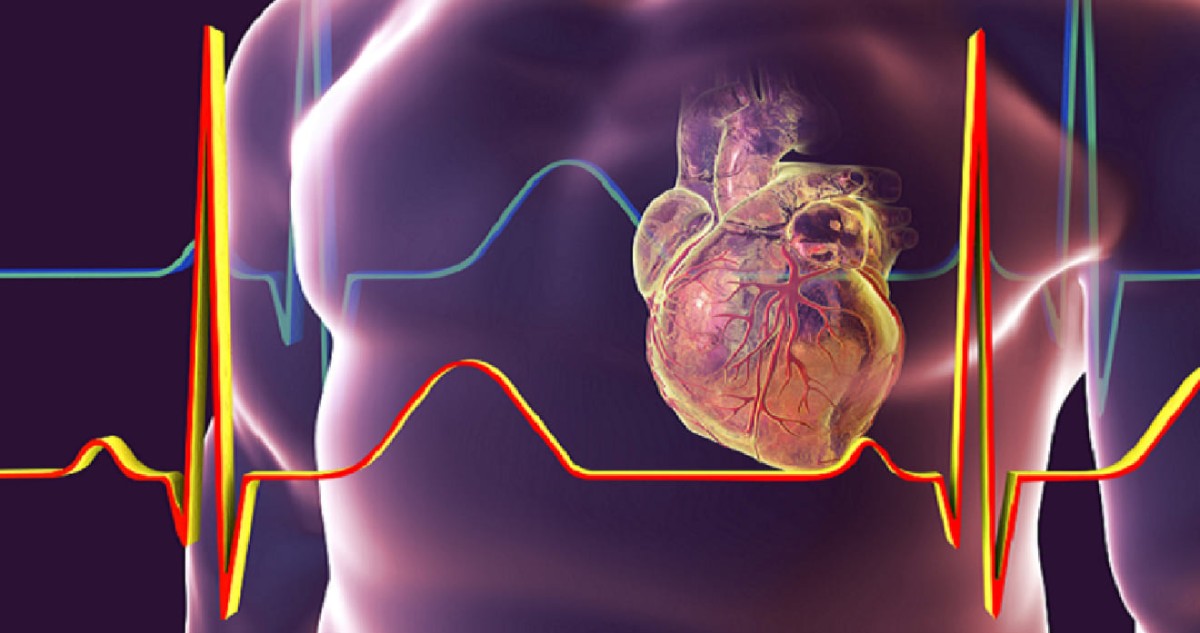 علماء يابانيون يكتشفون مركباً قد يبطئ شيخوخة القلب ويعزز وظائفه