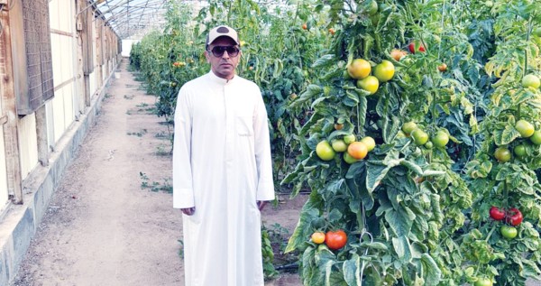 فيصل القضاب: مشكلاتنا التسويقية أكثر من الزراعية