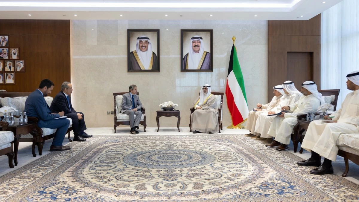 وزير الخارجية يبحث مع مدير الوكالة الدولية للطاقة الذرية سبل تعزيز التعاون