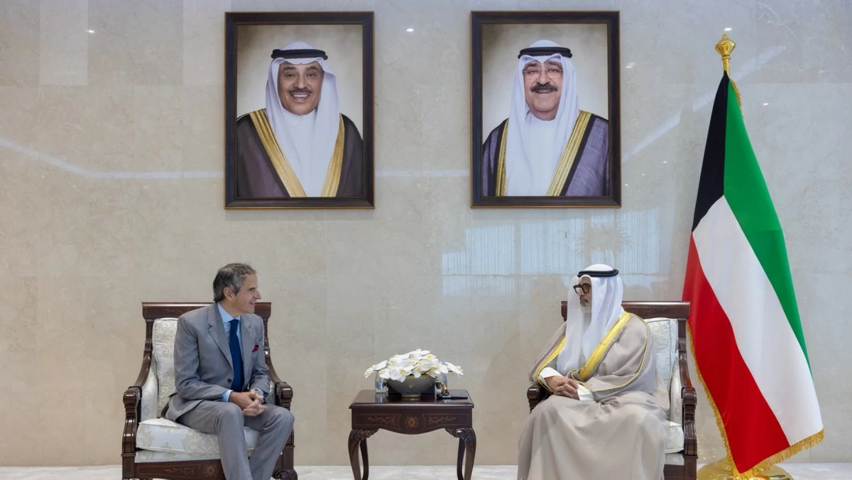 وزير الخارجية يبحث مع مدير الوكالة الدولية للطاقة الذرية سبل تعزيز التعاون
