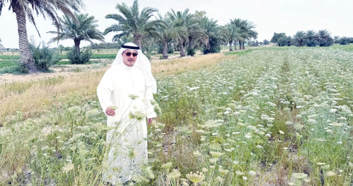 علي الرطام: للمزرعة فوائد اجتماعية... غير الاقتصادية