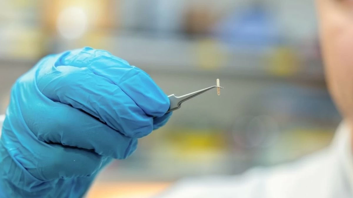 باحثون في أبوظبي يطورون جهازاً بحجم 'بذرة' لعلاج الألم المزمن واضطرابات الحركة