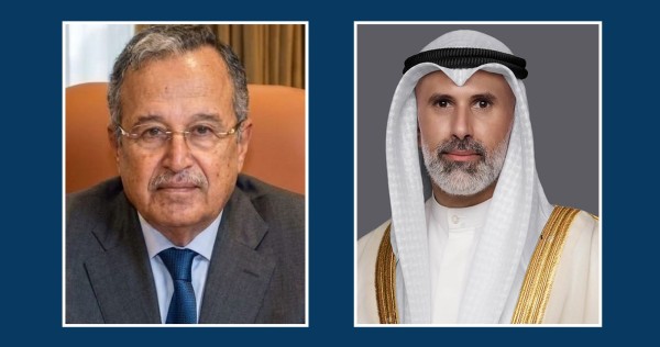 وزير الخارجية يهنئ أمين عام جامعة الدول العربية الجديد وي…