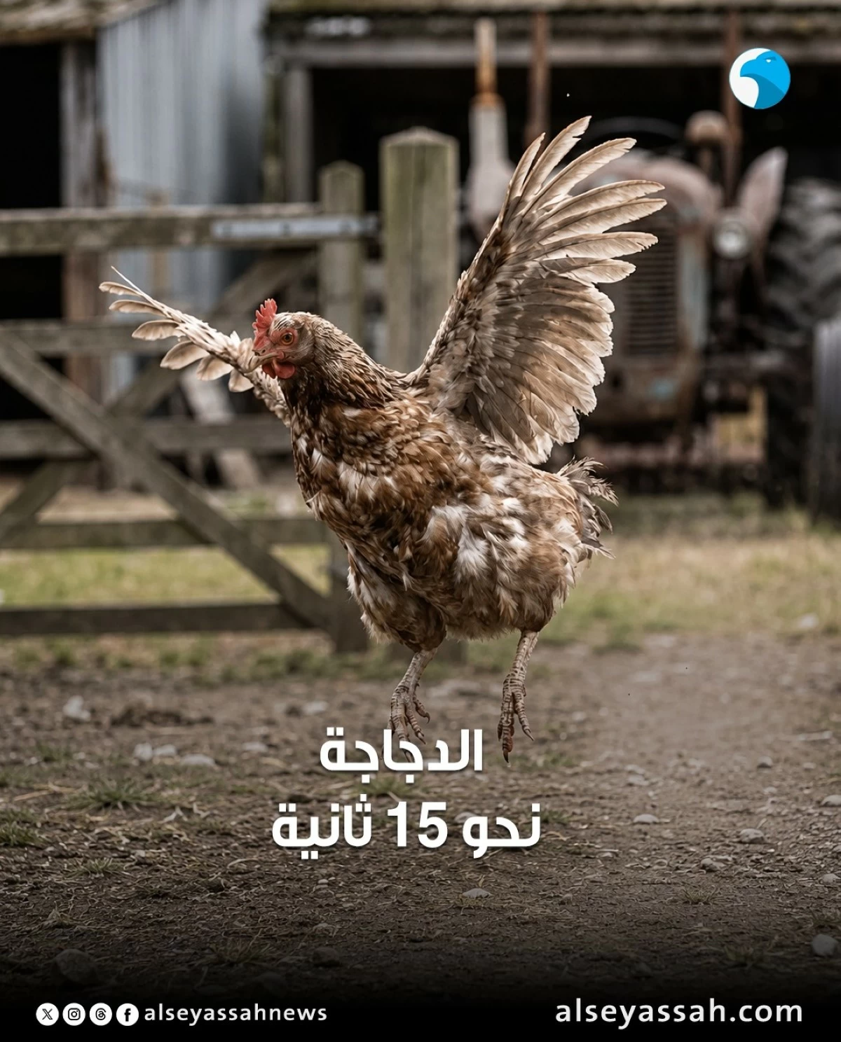 كم من الوقت تستطيع الطيور التحليق من دون أن تلامس الأرض؟