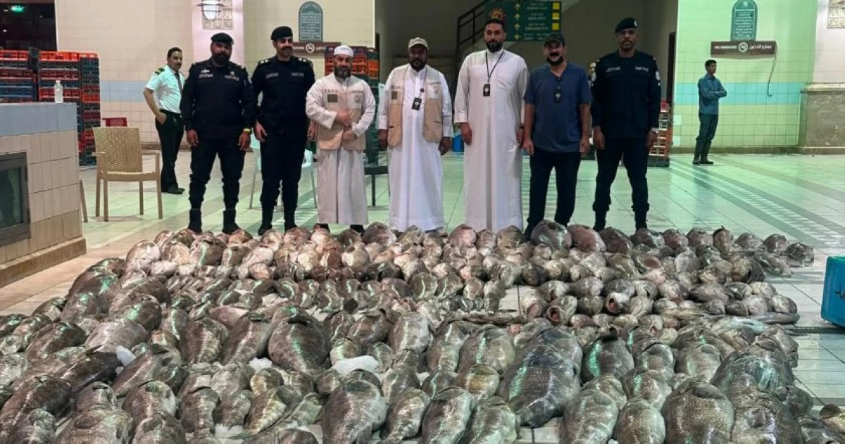 'الغذاء': ضبط أكثر من 3 أطنان من الأسماك الفاسدة في 'الواجهة البحرية'