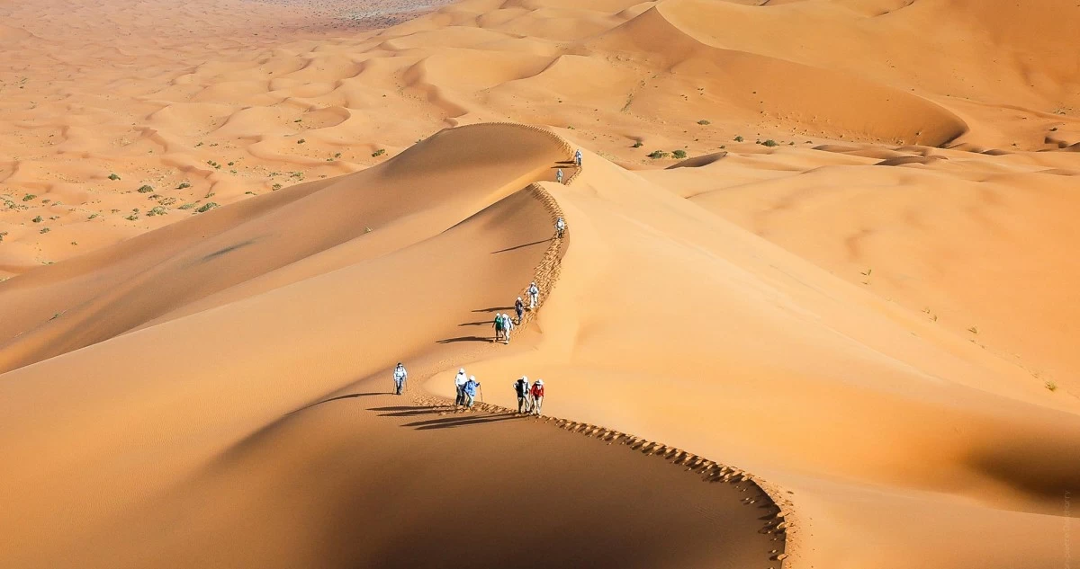 عيد العرش... 27 عاماً من الإصلاح والتنمية وتعزيز المكانة الدولية للمغرب