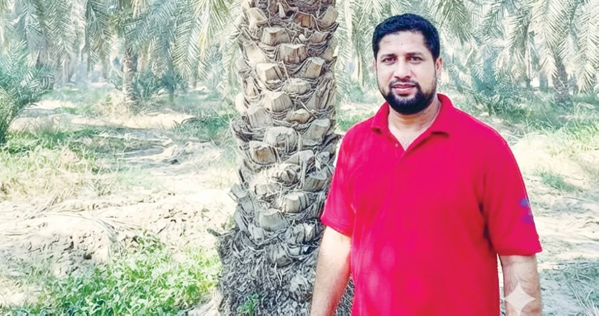 سبائك النخيل...تتلألأ في بساتين الوفرة والعبدلي