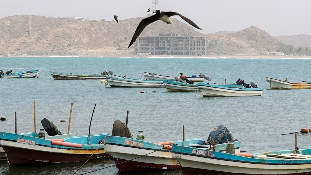 'خريف ظفار'... رفقاً أيها الجمال