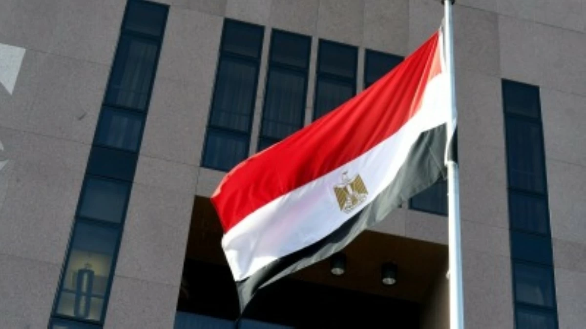 مصر تدين استهداف سفينتين إماراتيتين أثناء عبورهما مضيق هرمز