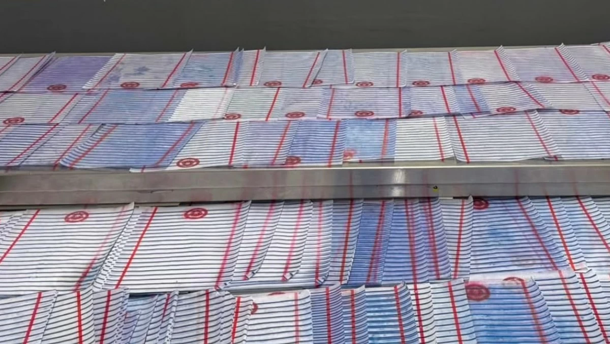 'الجمارك' تحبط تهريب 228 ورقة 'A4' مشبعة بـ'الكيميكال' عبر مطار 'T4'