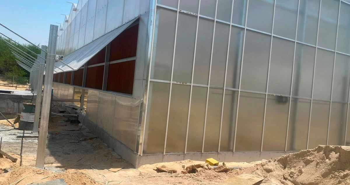 محمد الفريح: البيوت الزجاجية... الأفضل للزراعة المحمية في الكويت