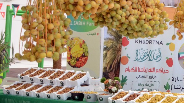 في العبدلي تين ورطب... ومزارع ترابها ذهب