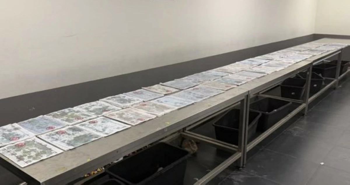 'الجمارك': إحباط تهريب 1197 ورقة 'A4' مشبعة بمادة 'الكيميكال' في مطار 'T4'