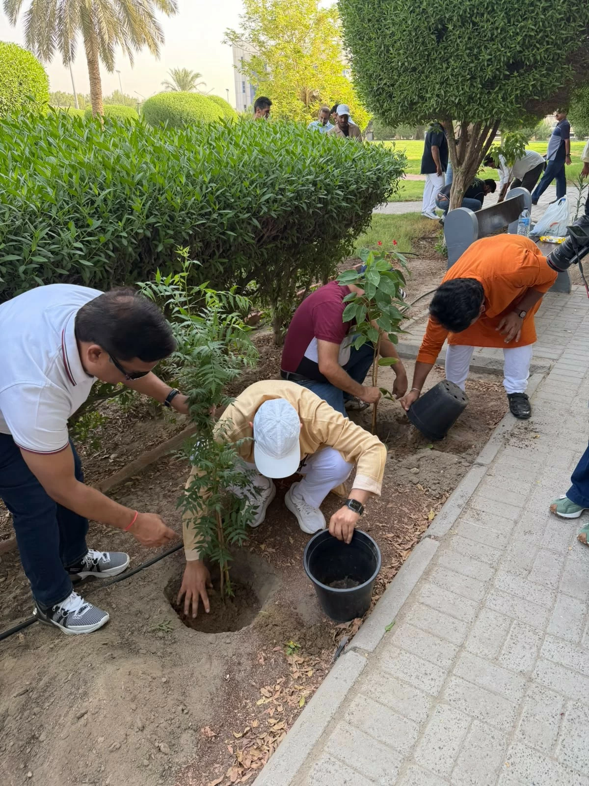 السفارة الهندية تغرس الأشجار في الكويت ضمن حملة 'شجرة باسم الأم'
