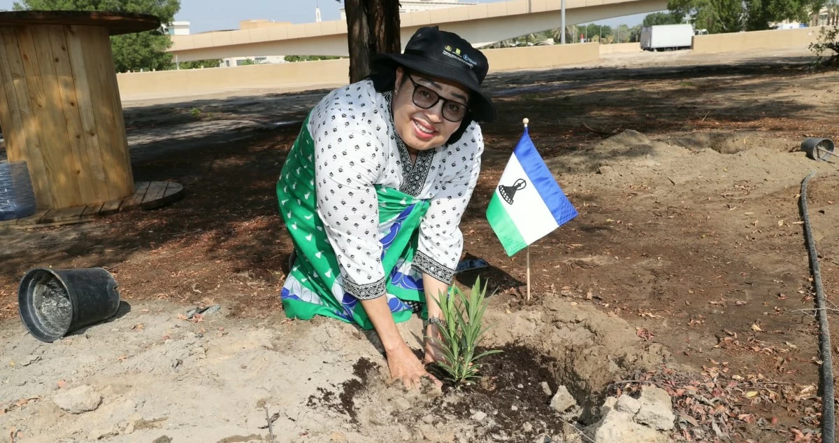 مسؤولة أممية: حملة 'الكويت تزرع' تحول الوعي البيئي إلى مبادرات مستدامة