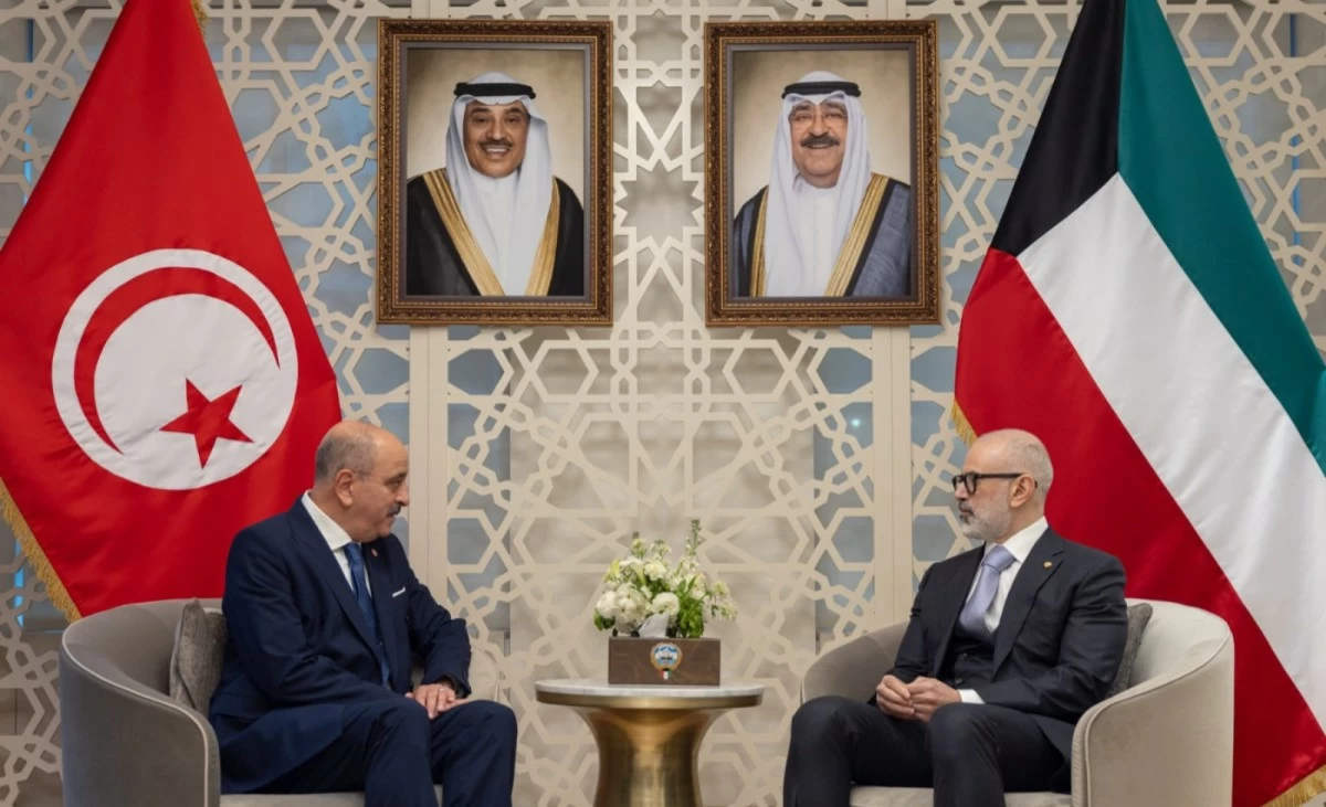 وزير الخارجية يبحث مع نظيريه التونسي والجيبوتي تعزيز العلاقات والمستجدات الإقليمية والدولية