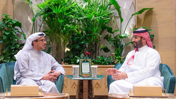 ولي العهد السعودي ونائب رئيس الإمارات يبحثان العلاقات الثنائية وتطورات الأوضاع في المنطقة