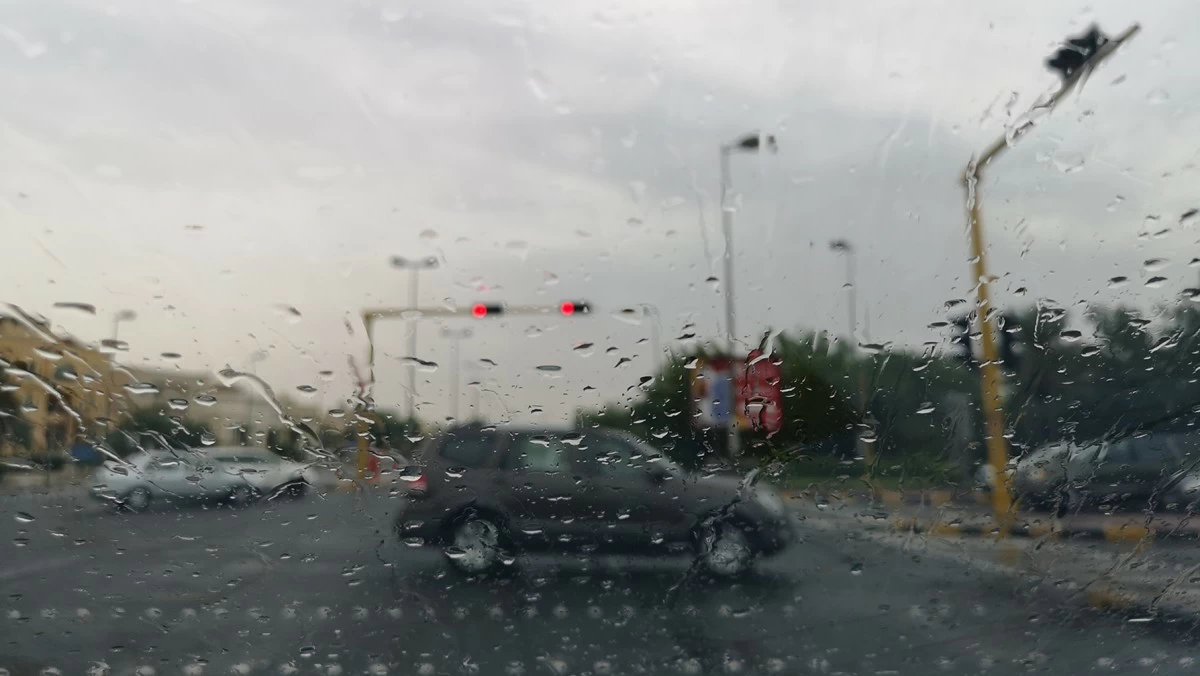 'الأرصاد': أمطار متفرقة وضباب يخفض الرؤية حتى صباح الغد
