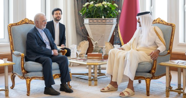 أمير قطر يبحث مع وزير الداخلية الإيراني تطورات الأوضاع بالمنطقة وجهود خفض التصعيد