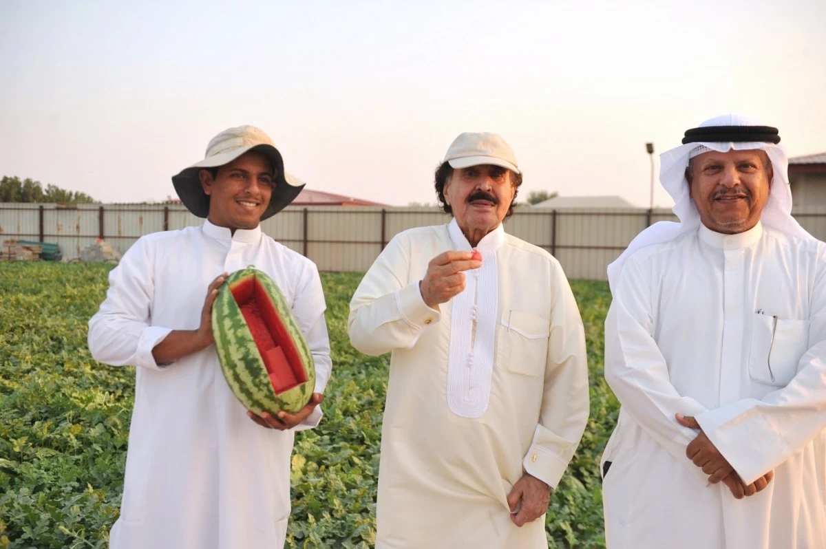 شُحُّ المياه المعالجة تحدٍّ كبير يواجه إنتاج مزارع العبدلي