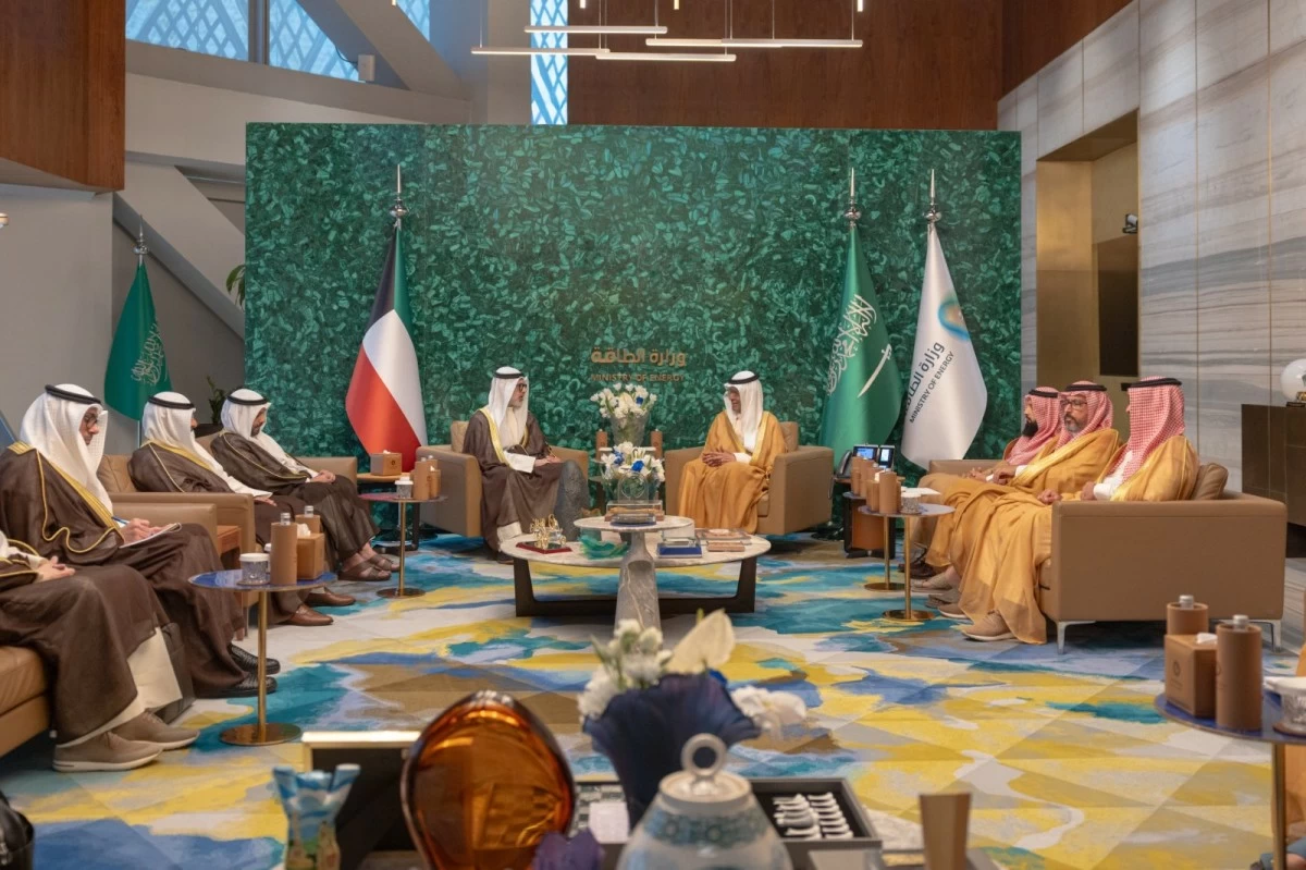 وزير الخارجية يبحث مع وزير الطاقة السعودي تعزيز العلاقات الثنائية
