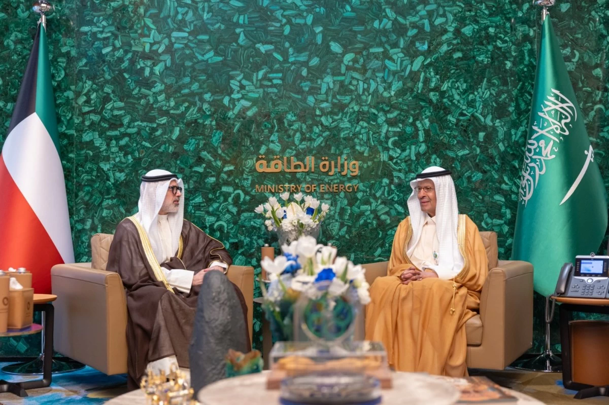 وزير الخارجية يبحث مع وزير الطاقة السعودي تعزيز العلاقات الثنائية