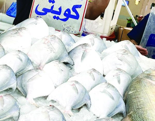 الزبيدي وصل ...