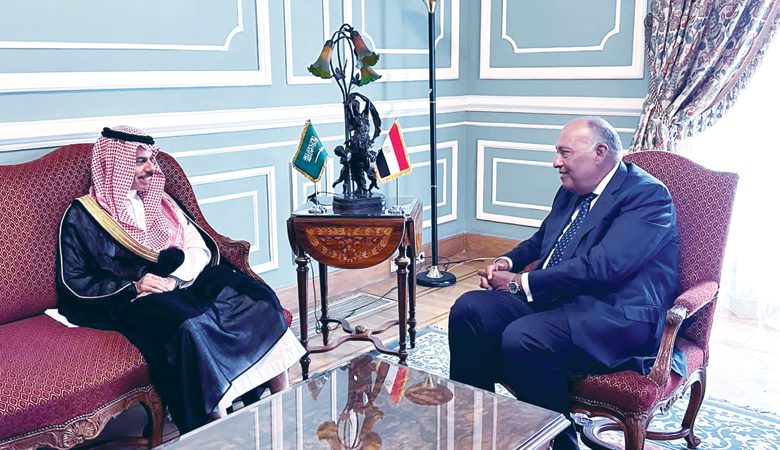 مصر والسعودية تؤكدان أهمية التضامن والعمل العربي المشترك