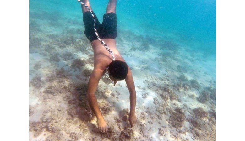 شباب "الغوص" باشروا البحث عن المحار… والحصيلة ممتازة
