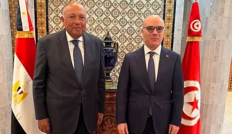 مصر وتونس تؤكدان استمرار التعاون لمواجهة التحديات
