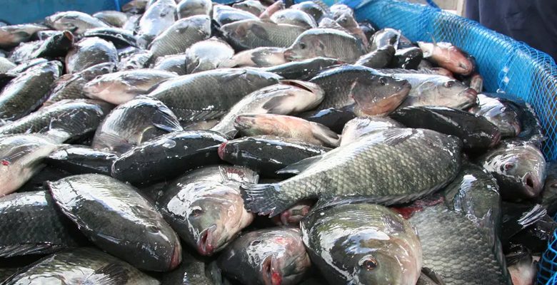 فقدت يديها وقدميها.. وجبة سمك تتسبب بمأساة لسيدة أميركية!