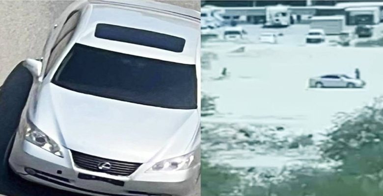 « الداخلية»: استمرار عمليات البحث والتحري بعد رصد مقطع فيديو يتضمن واقعة اعتداء بالضرب في منطقة المهبولة