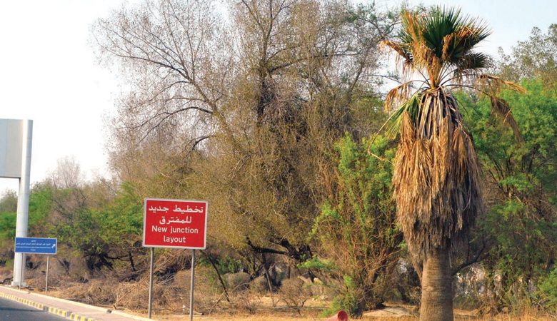 قيادي "الزراعة" الموقوف… "للحقيقة وجوهٌ أخرى"!