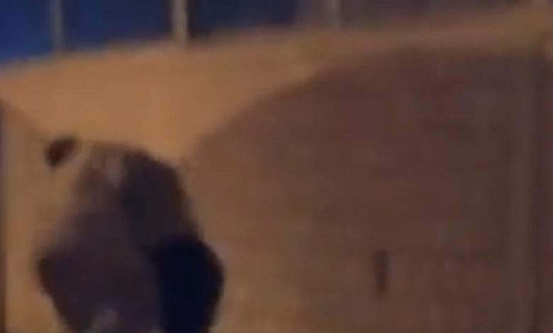 مصدر امني لـ " السياسة " الفيديو المتداول عن مشاجرة بين رجال المباحث عام 2019