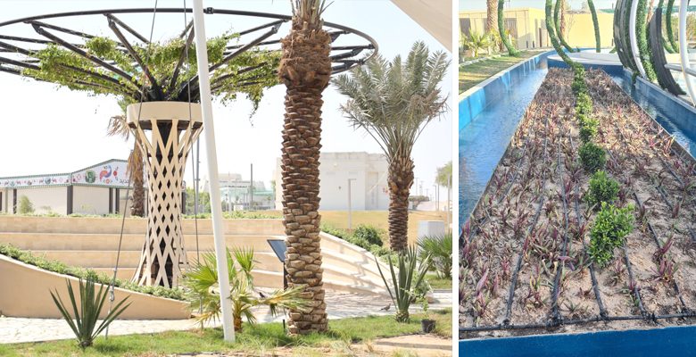 مدير جناح الكويت في (اكسبو الدوحة 2023): حريصون على الاستدامة البيئية من خلال اعادة تدوير المياه