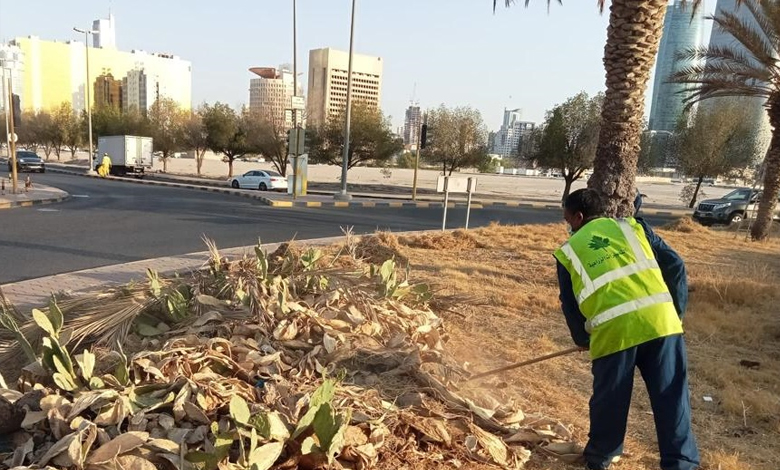 (الزراعة): خطة طوارئ للزراعات التجميلية وإضفاء لمسات جمالية على الشوارع والطرقات وحماية بيئة البلاد