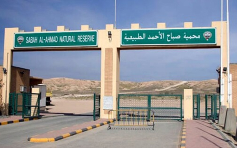 مركز العمل التطوعي يحذر من الدخول إلى محمية صباح الأحمد الطبيعية من دون تصريح رسمي