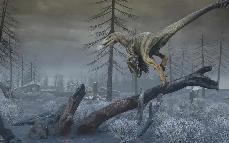 شتاء نووي.. علماء يفجرون مفاجأة حول اختفاء الديناصورات