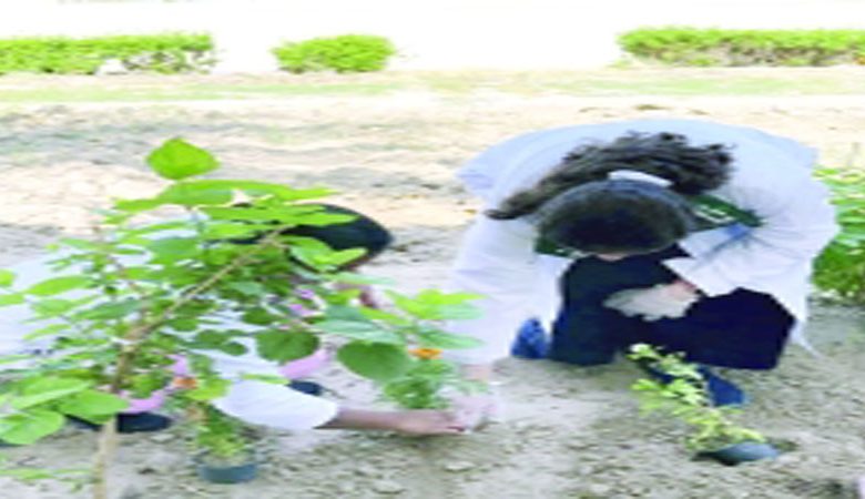 البداح: ماضون في تنفيذ خطة التنمية لتمكين ذوي الإعاقة