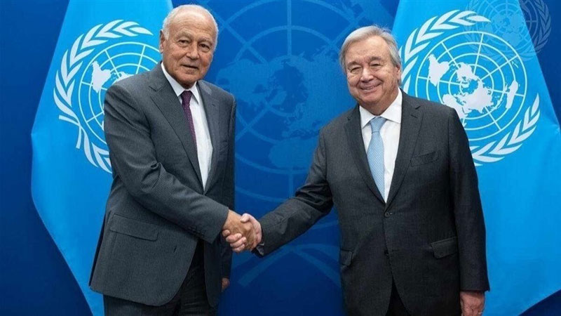 أبو الغيط: هجوم إسرائيل على غوتيريش ابتزاز