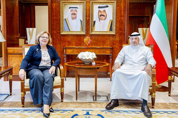 وزير الخارجية: ضرورة وقف القتل الدائر في غزة فوراً