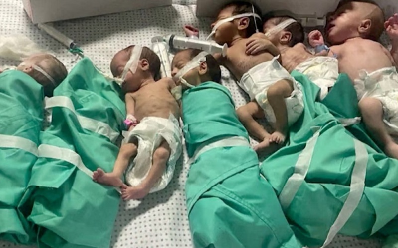 إجلاء جميع الأطفال الخدج من مستشفى الشفاء في غزة باتجاه الجنوب