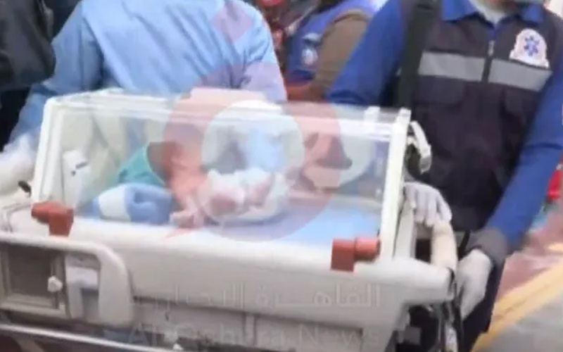 مصر تستقبل 28 من الأطفال الفلسطينيين الخدج