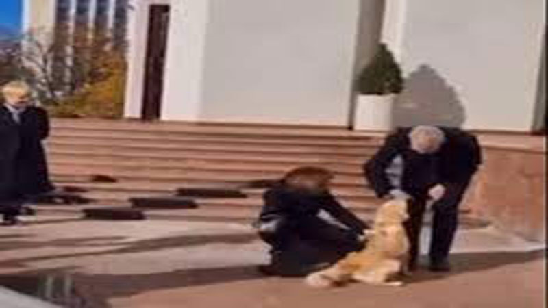 كلب رئيسة مولدوفا يعقر الرئيس النمساوي